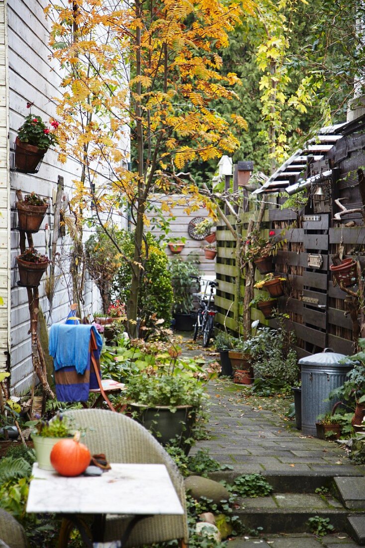 Side passage between two houses in autumn