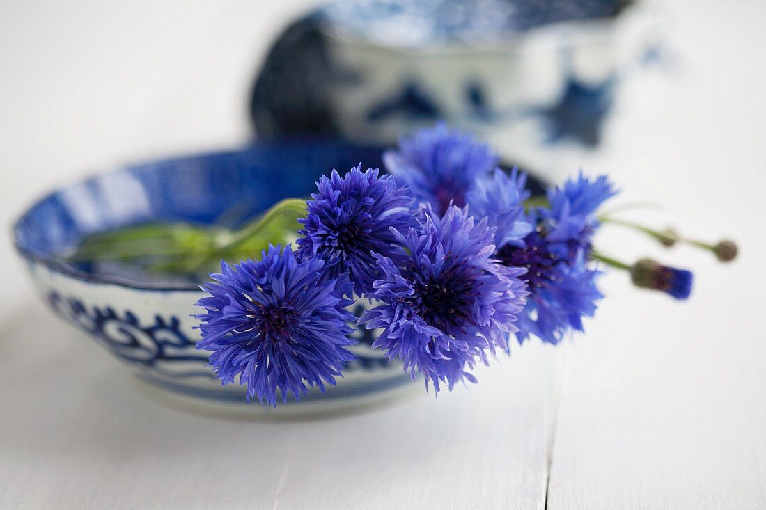 Kornblumen in einer blauen Keramikschale