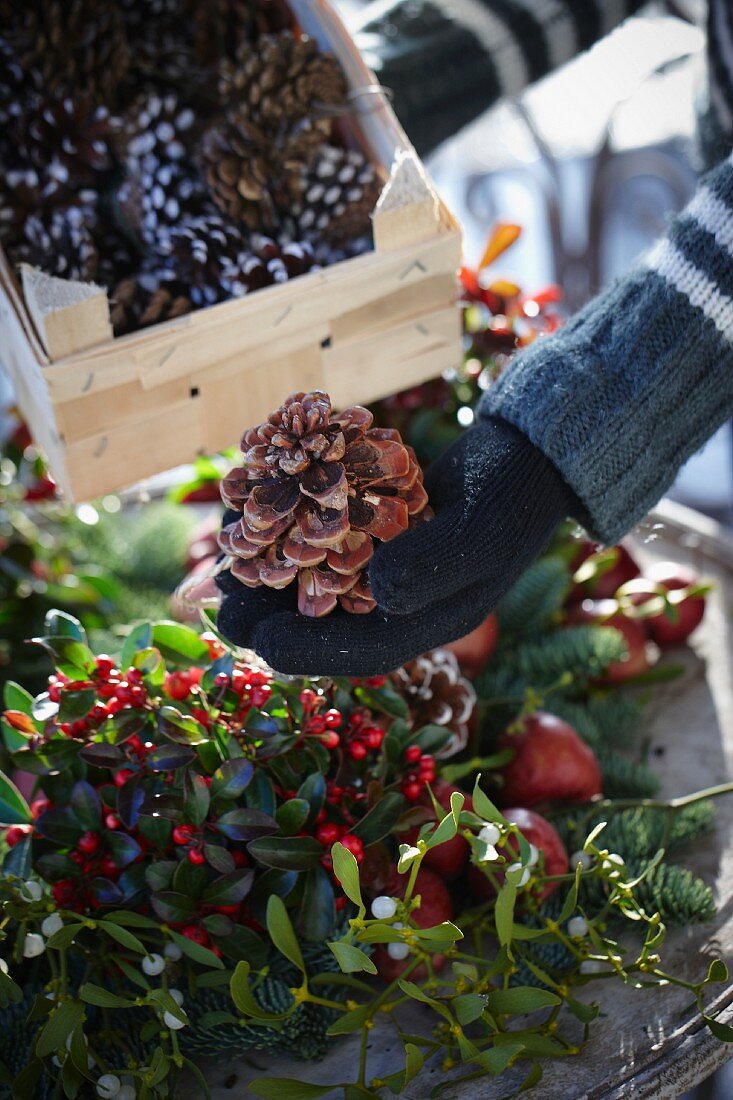 Weihnachtsgesteck aus Tannenzweigen, Scheinbeeren, Mistelzweigen, Lorbeer, Äpfeln und Pinienzapfen gestalten