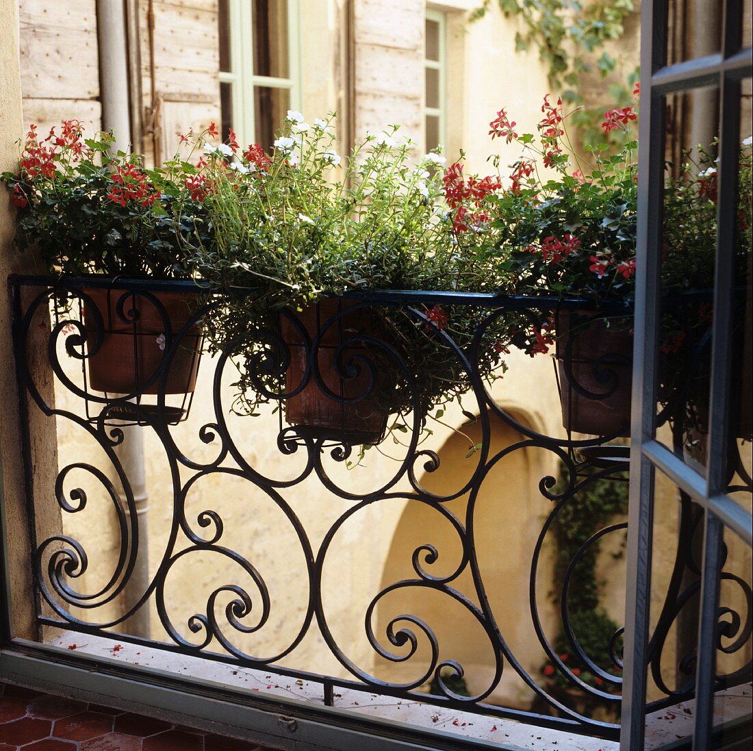 Potted plants on wrought iron balcony balustrade