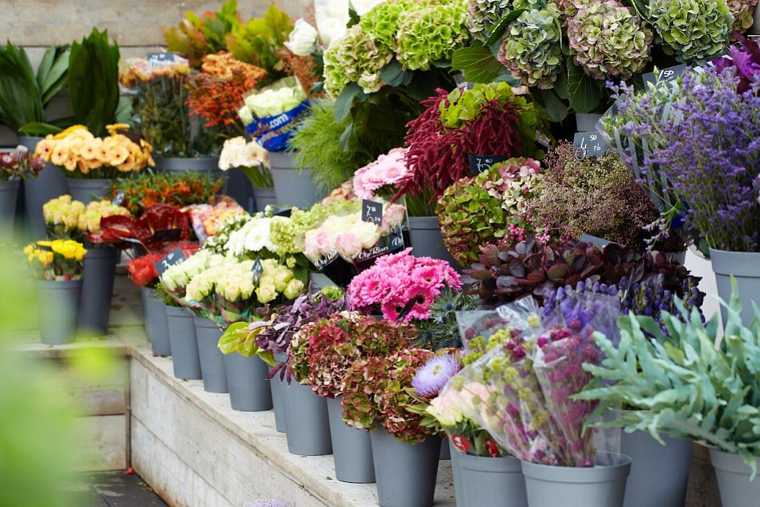 Many different types of potted plants and cut flowers