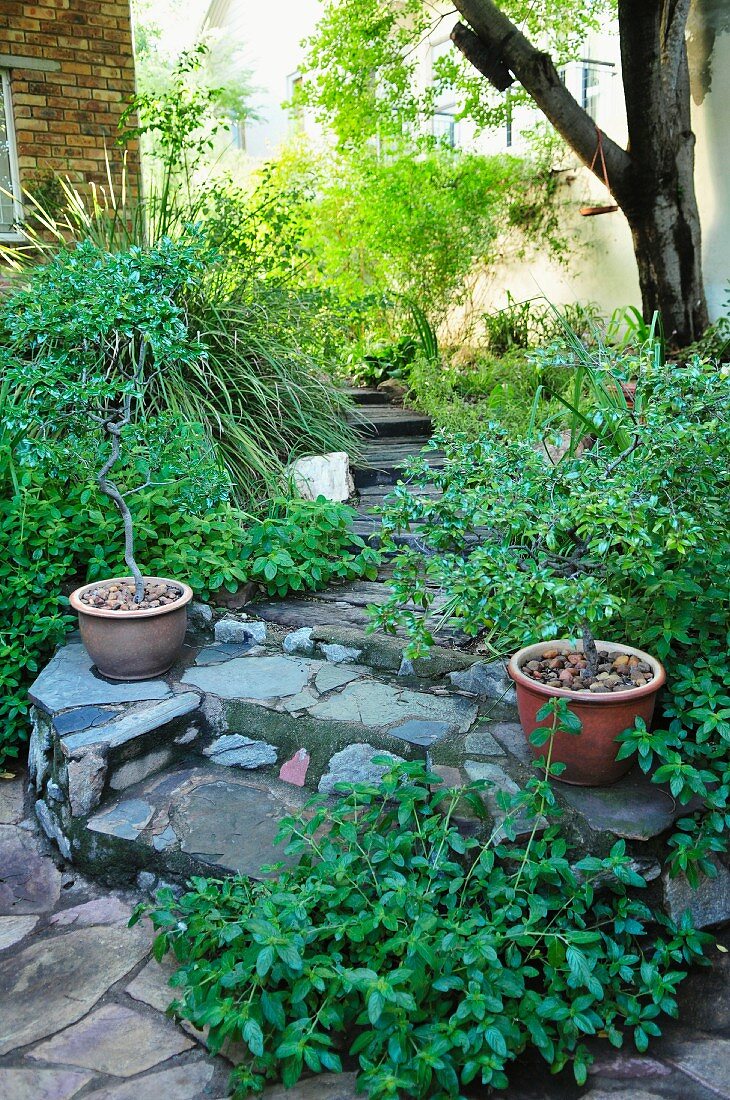 Gartentreppe mit Polygonalplatten belegt in sommerlichem Garten