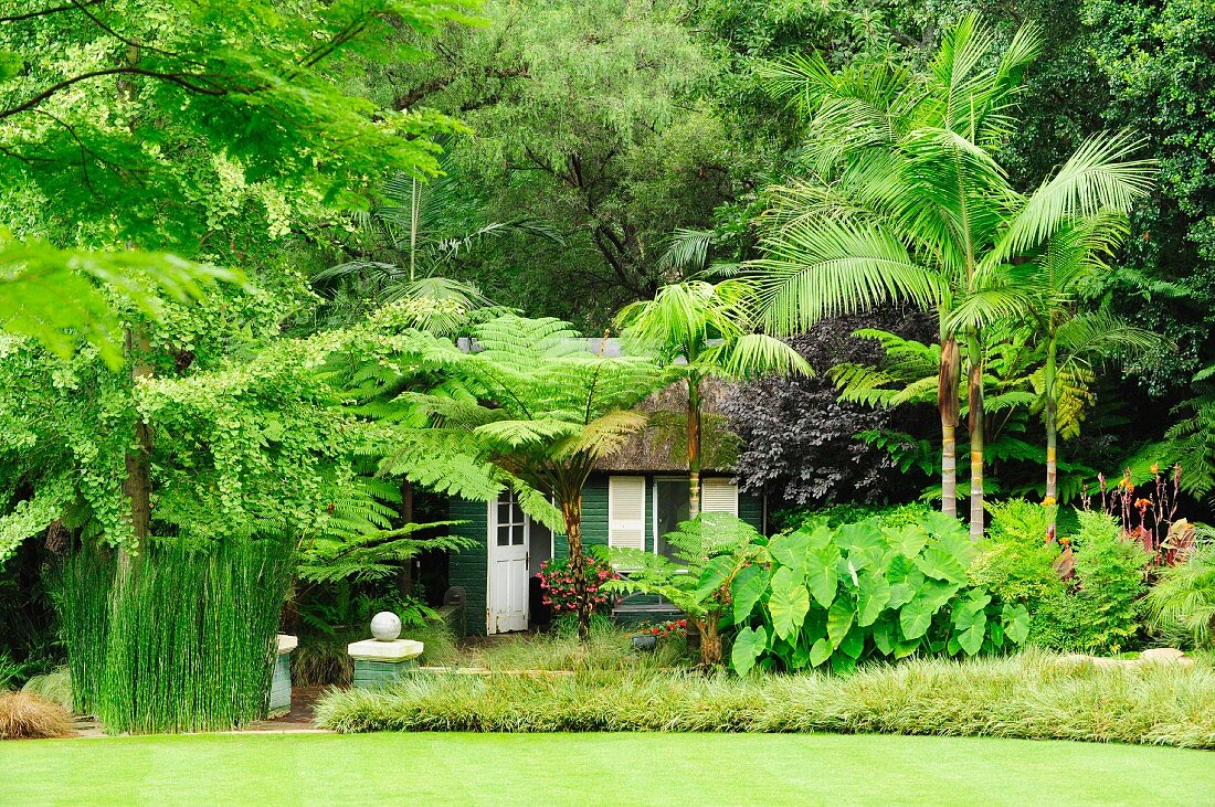 Unter tropischen Grünpflanzen verstecktes Holzhaus