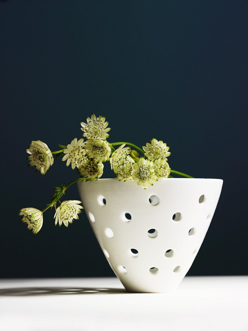 Dried flowers in perforated ceramic bowl
