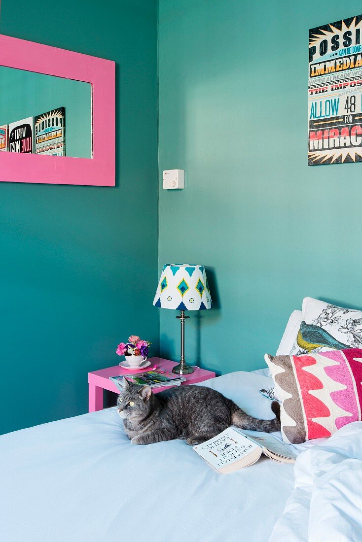 Katze und bunte Kissen auf einem Bett; pinkgerahmter Spiegel an türkis Wand