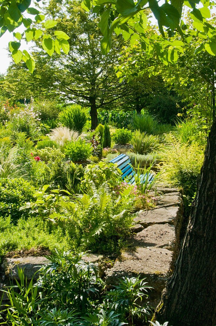 Blue bench immersed in a sunny, Mediterranean garden