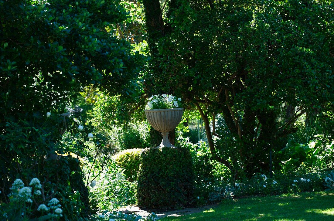 Planted urn on climber-covered masonry plinth in lush, landscaped garden
