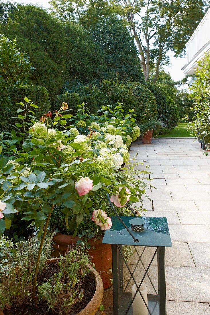 Summer mood - flowering potted plants on a tiled terrace with a view of the garden