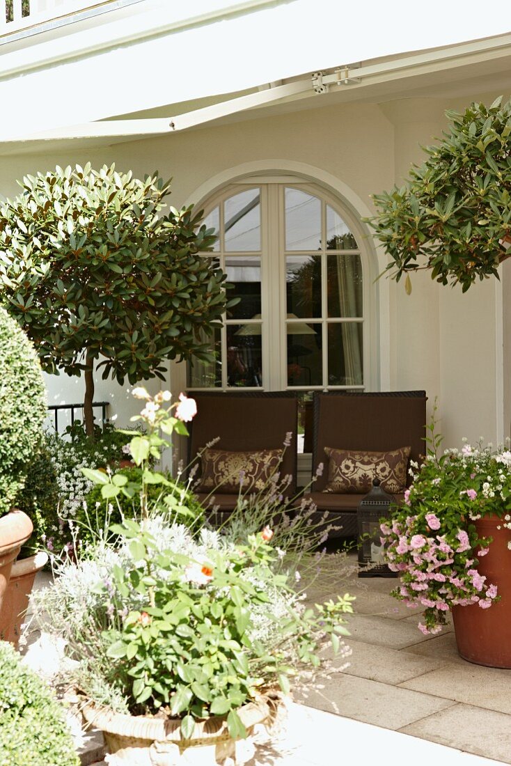 Blick über Blumentöpfe auf Terrassenstühle mit Polstern vor Rundbogentür Mit Sprossenfenster einer traditionellen Villa im Sommer