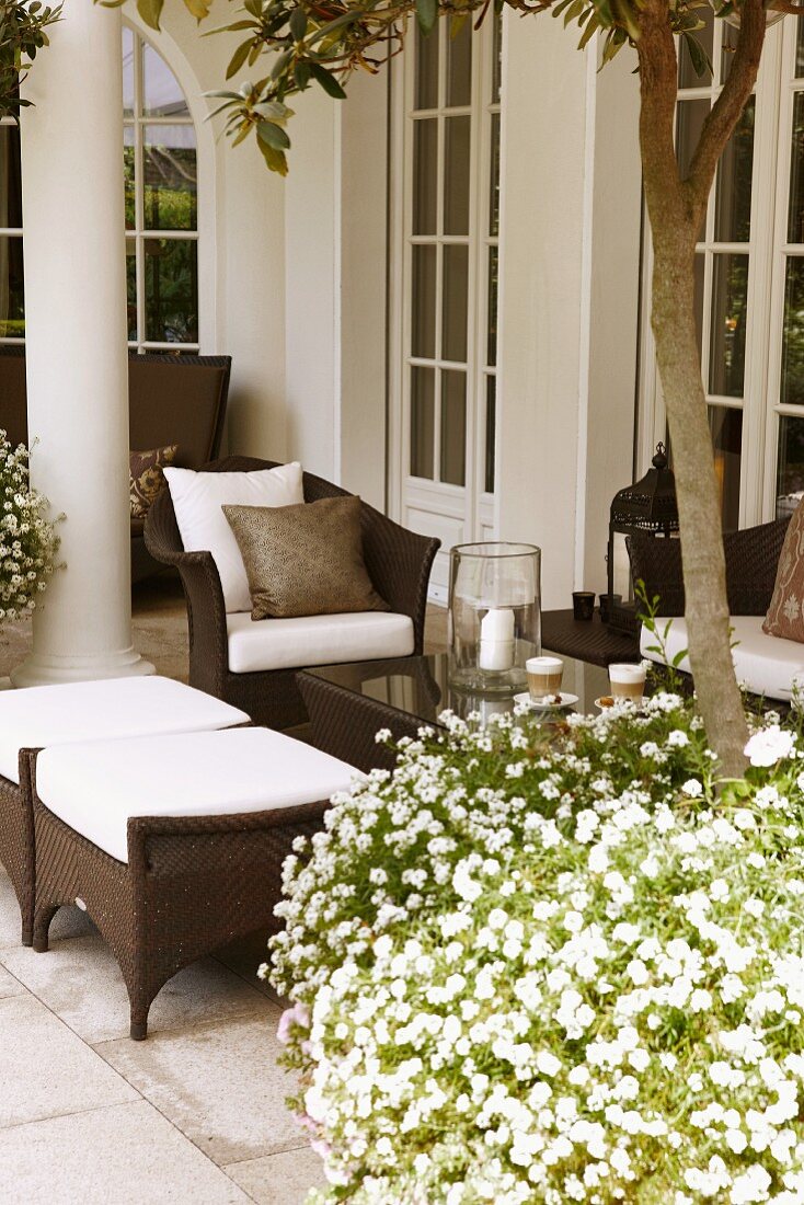 Blühende weiße Blumen im Topf vor Outdoormöbeln aus braunem Geflecht auf Terrasse einer herrschaftlichen Villa