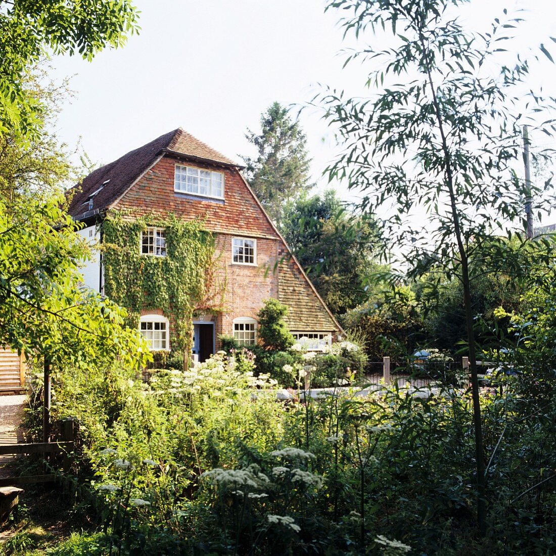 Sommerlicher Garten und ehemalige Mühle als Wohnhaus mit berankter Fassade