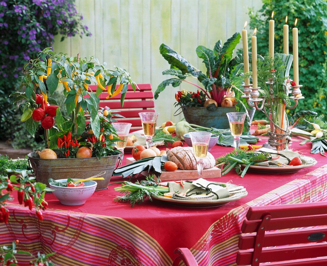 Gedeckter Tisch mit Gemüsedeko: Paprika, Peperoni, Chili, Mangold, Zwiebel, etc.