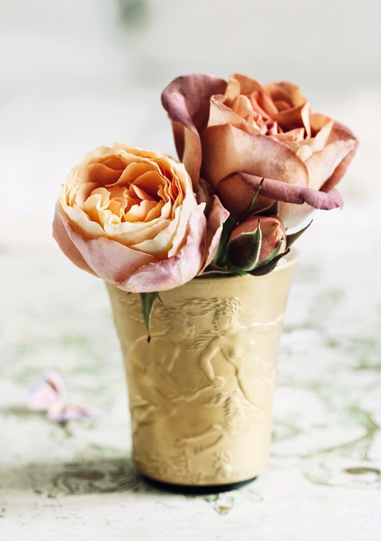 Goldener Becher mit Rosenblüten der Sorte Cubana