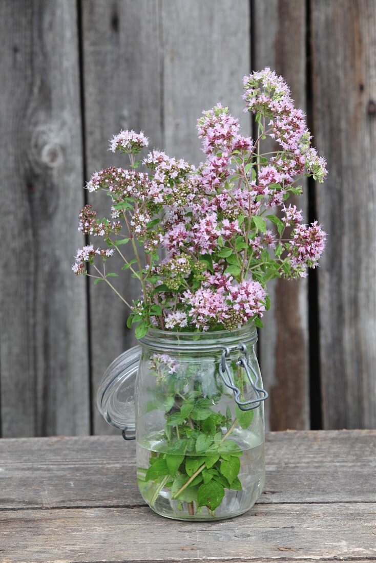 Flowering marjoram in preserving jar