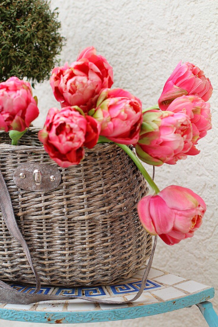 Pink tulips in basket by a house wall