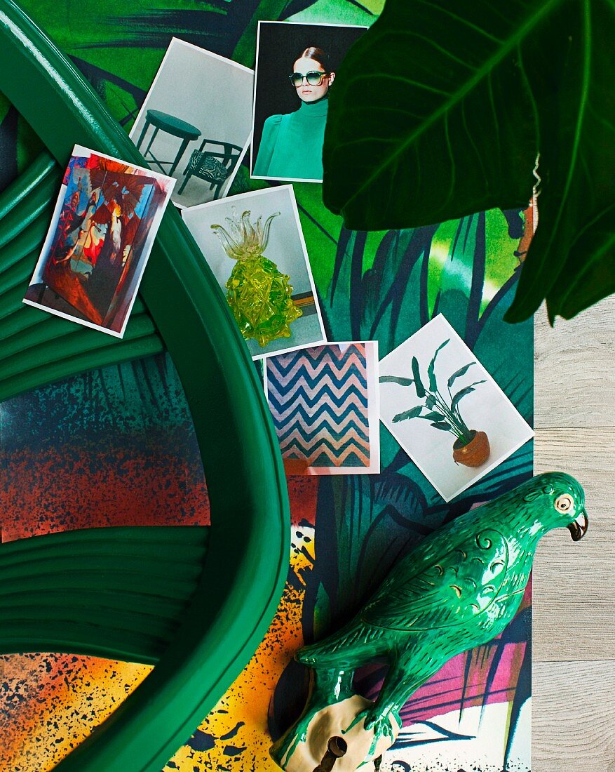 Verschiedene Fotos auf farbenfrohem Untergrund mit Dschungelmotiv und kunsthandwerklicher Papageienfigur
