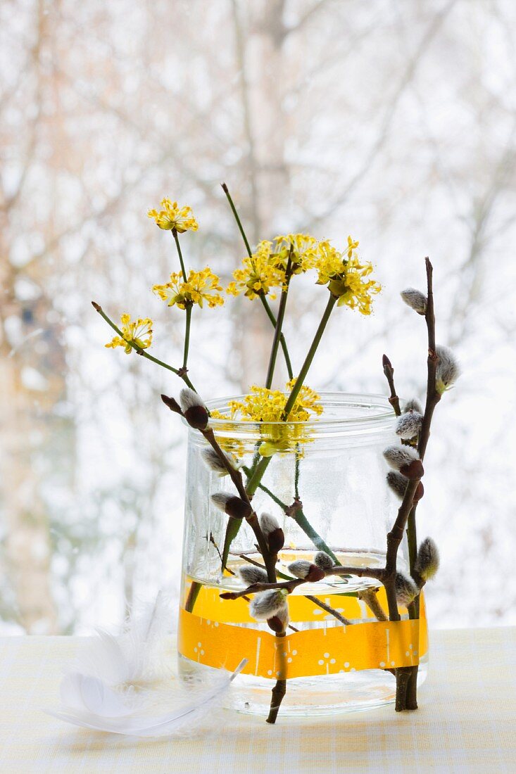 Arrangement in jar: cornelian cherry blossom and pussy willow with willow catkins held to outside of jar with washi tape