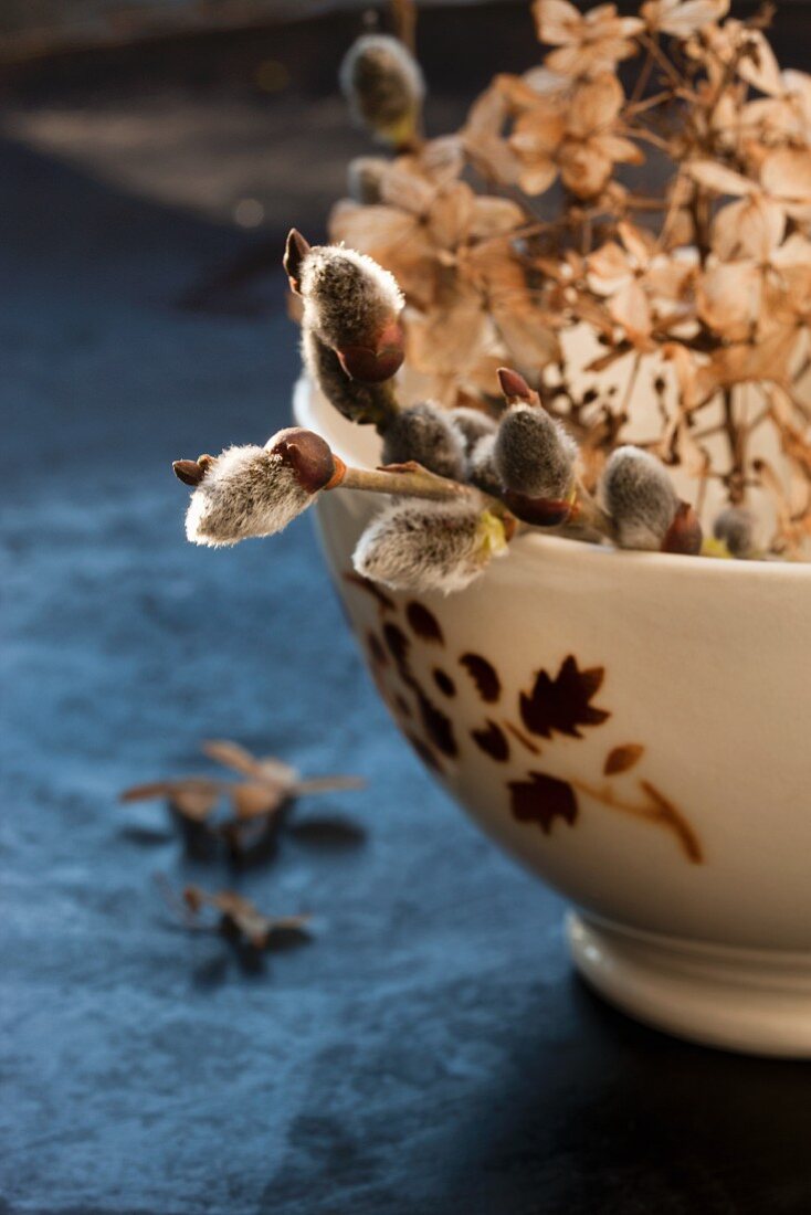 Weidenkätzchen und vertrocknete Hortensienblüte in kleinem alten Keramikgefäss