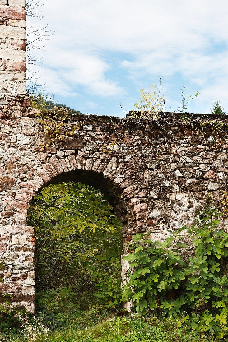 Arched doorway in castle wall
