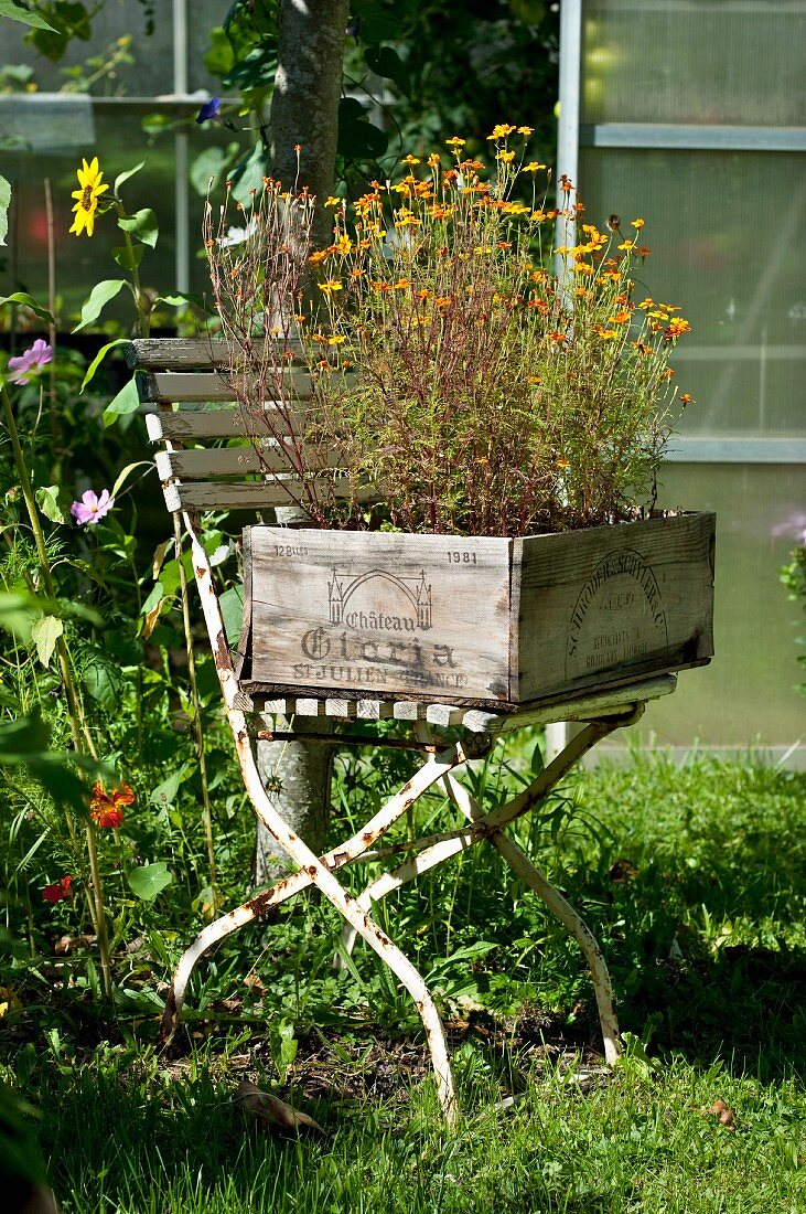 A chair with an old wine crate as a flower box