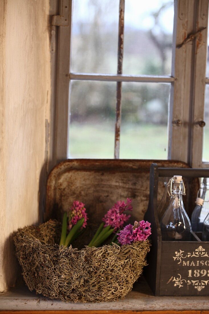 Moos Korb mit rosafarbenen Hyazinthen neben Vintage Flaschen auf Fensterbank