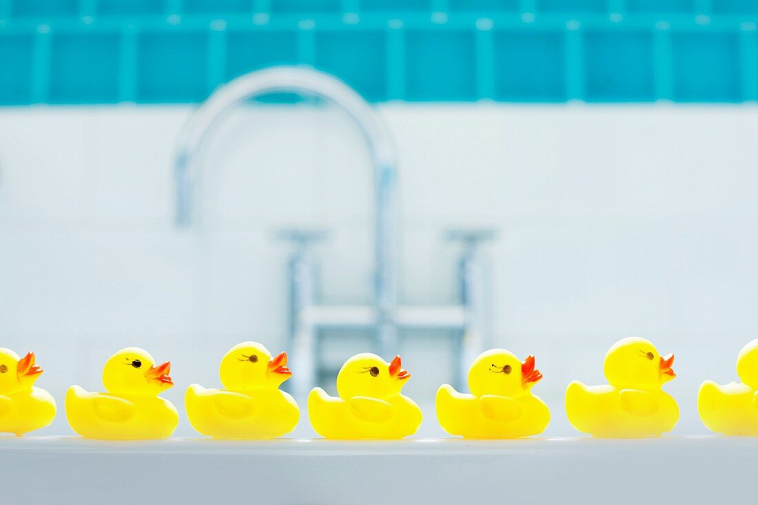Rubber ducks in bathroom
