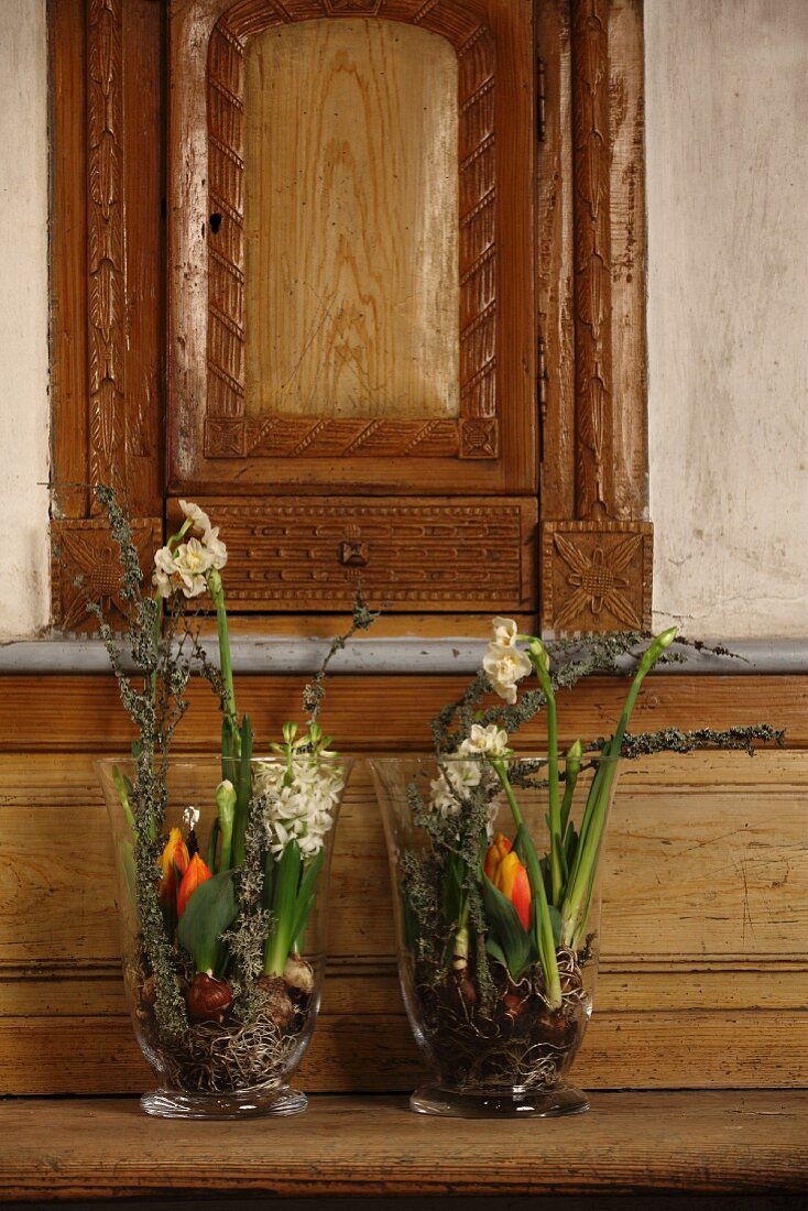 Zwei große Glasvasen mit Frühlingsblumen bepflanzt auf Holzbank