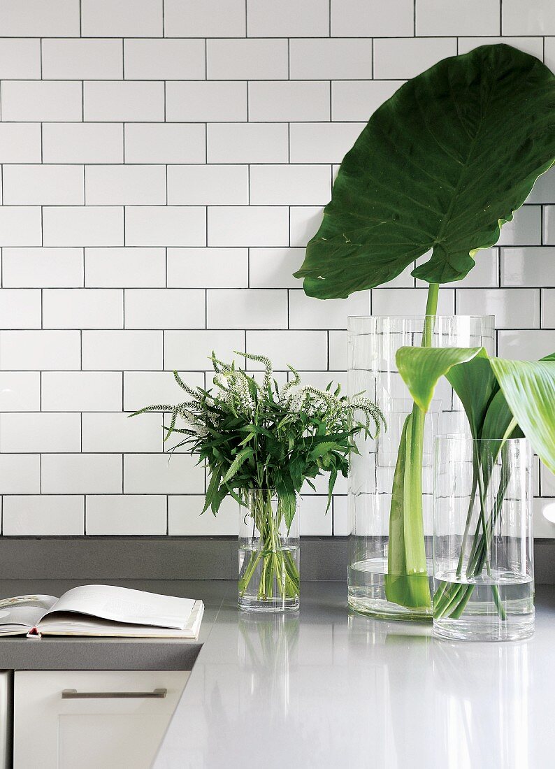 Green leaves in glass vessels on kitchen worksurface in front of wall with white brick tiles