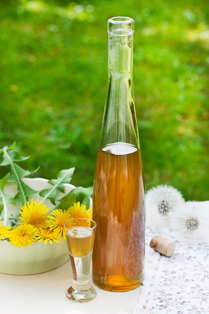 Likör aus Löwenzahnblüten in Flasche und Glas