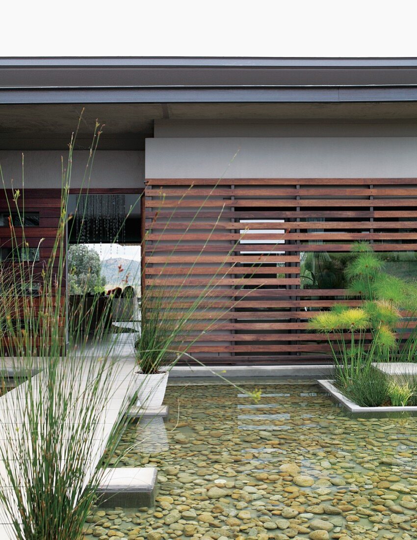Boardwalk next to pool in garden of contemporary house with slatted wooden cladding on facade