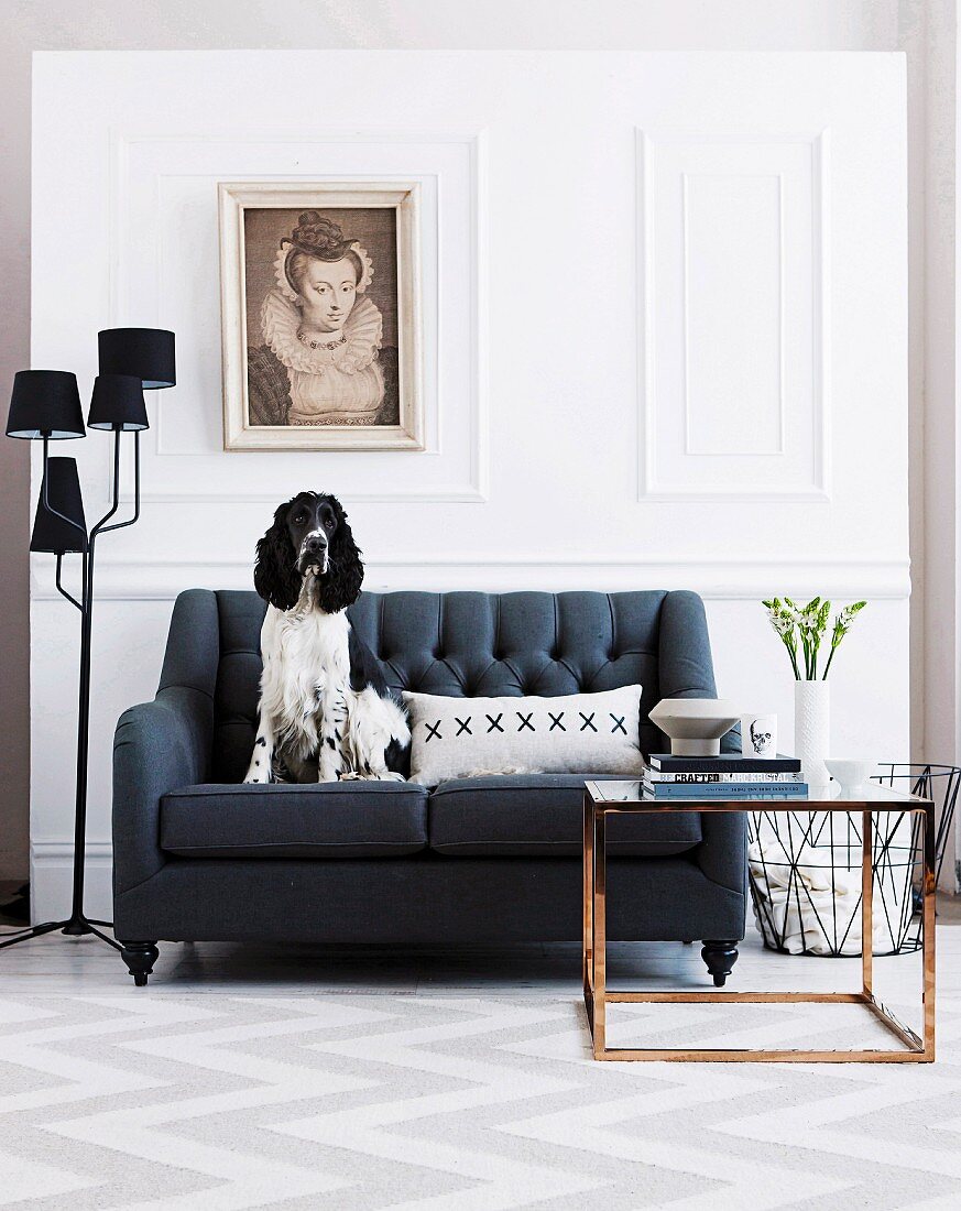 Dog sitting on black, vintage sofa next to black, multi-armed standard lamp against white, wood-panelled wall