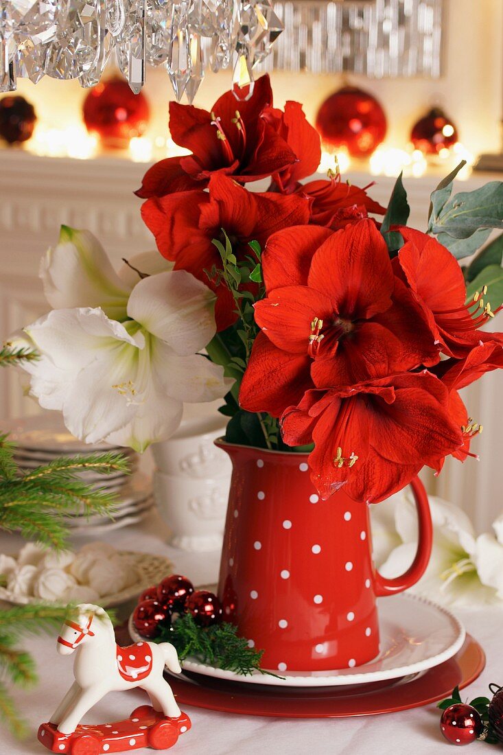 Amaryllis in red jug with polka dots