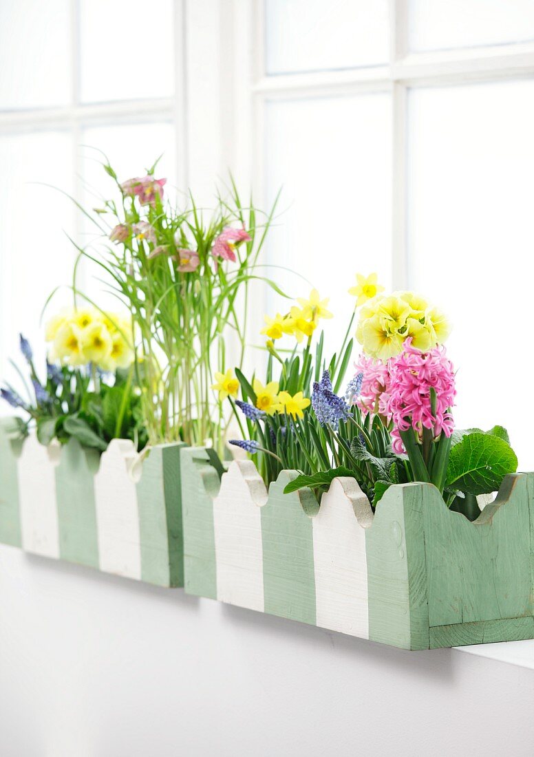 Spring flowers in carved, painted wooden window boxes in front of window