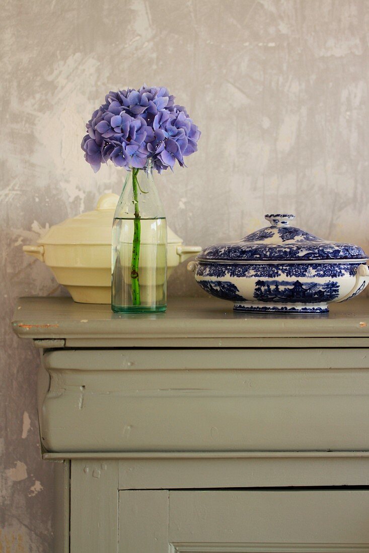 Hydrangea flower in bottle and two soup tureens on vintage sideboard