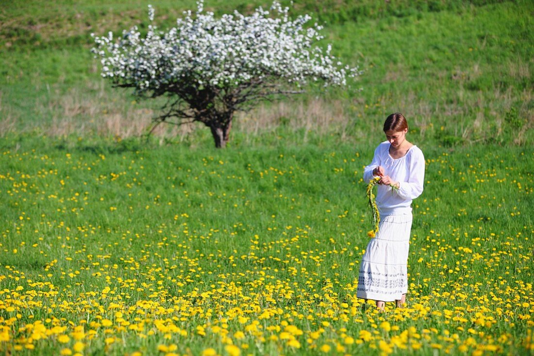 In Weiß gekleidete Frau bindet Kranz aus Löwenzahn vor blühendem Apfelbaum