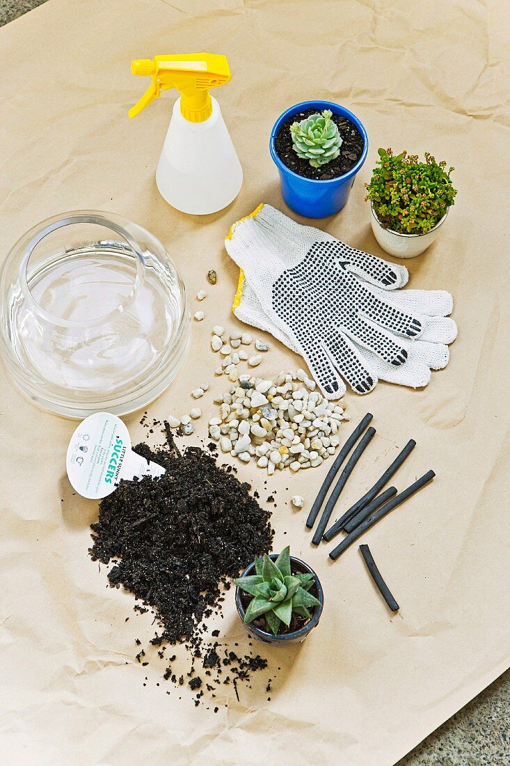 Work gloves, spray bottle, various small succulents, gravel, compost and glass vase