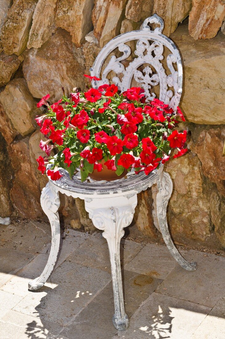 Blumentopf mit roten Petunien auf einem Gartenstuhl