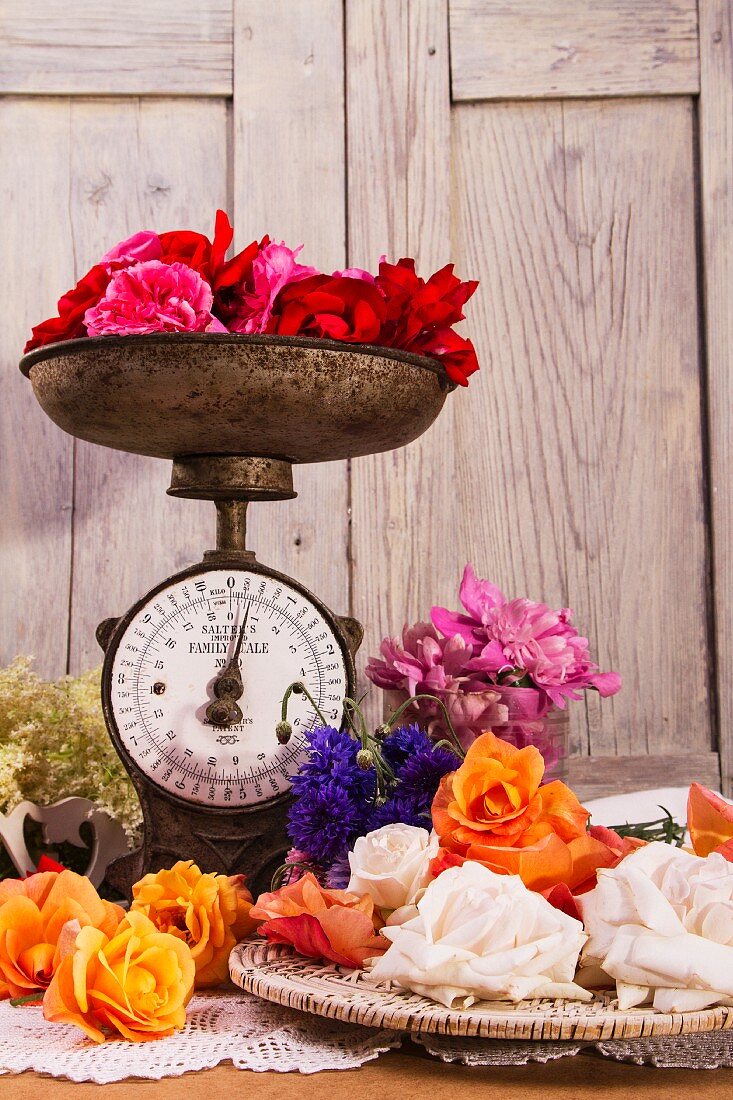 Assorted roses with a set of old kitchen scales