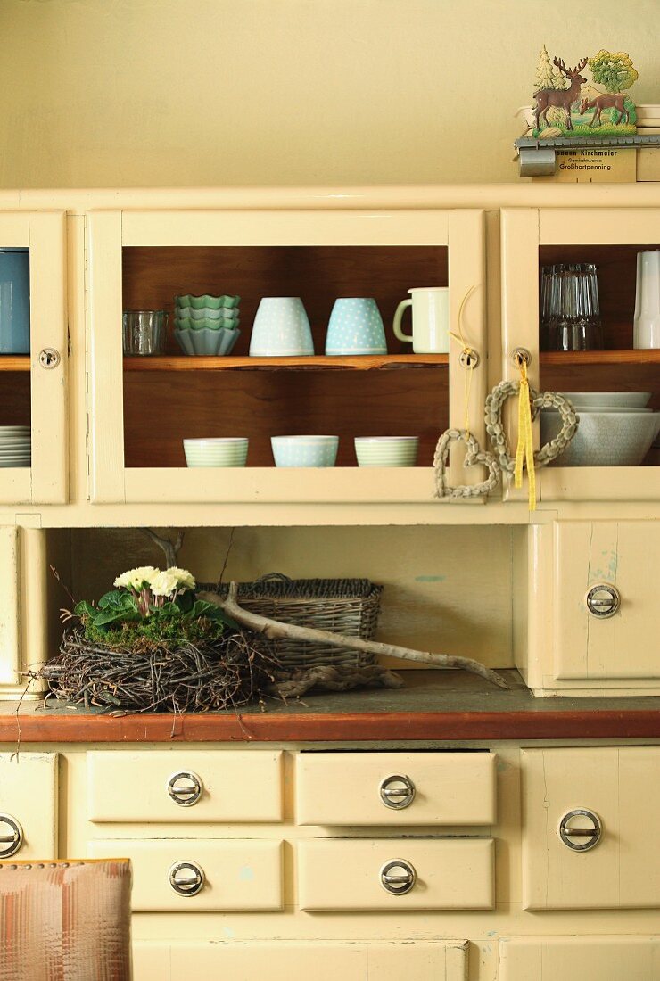 Primulas in small nest of birch twigs on 50s-style, cream kitchen dresser