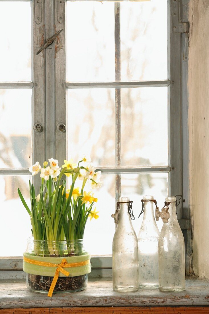 Narcissus in sweet jar next to collection of vintage bottles on windowsill