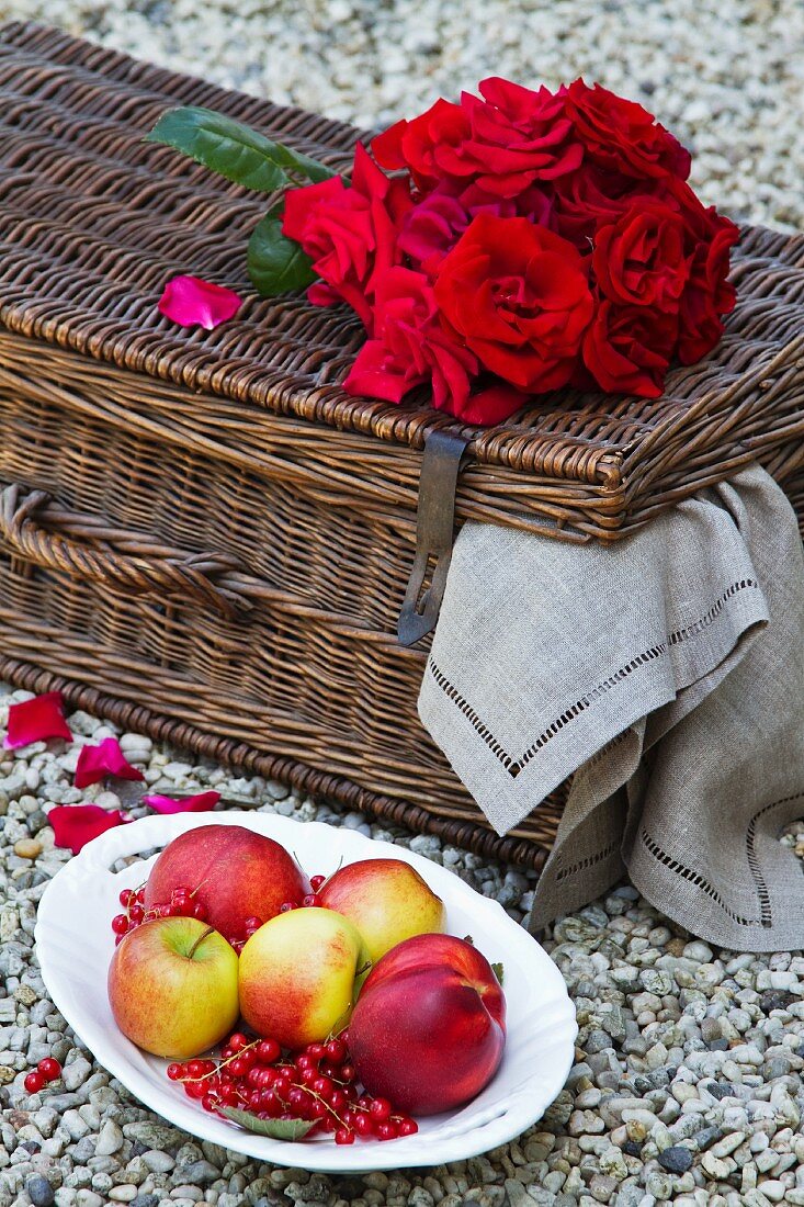 Plate of fruit next to red roses on picnic basket