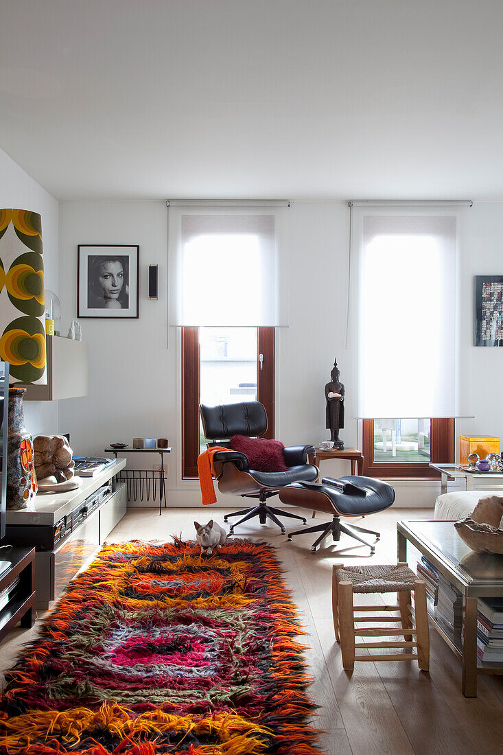 Cat in brightly furnished living room with designer armchair and colourful carpet