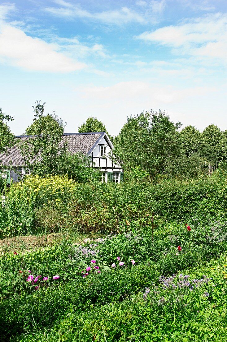 Bauernhaus mit grossem Garten