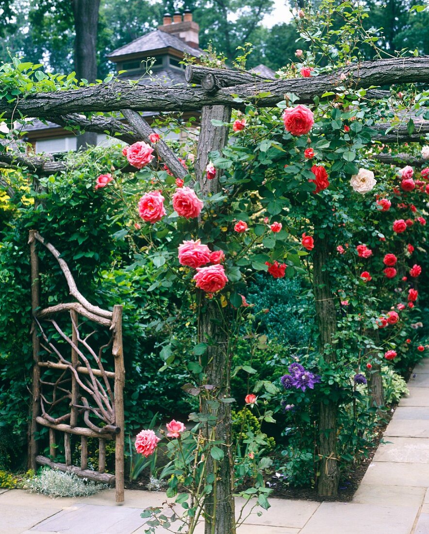 Garden with roses and slate pathways