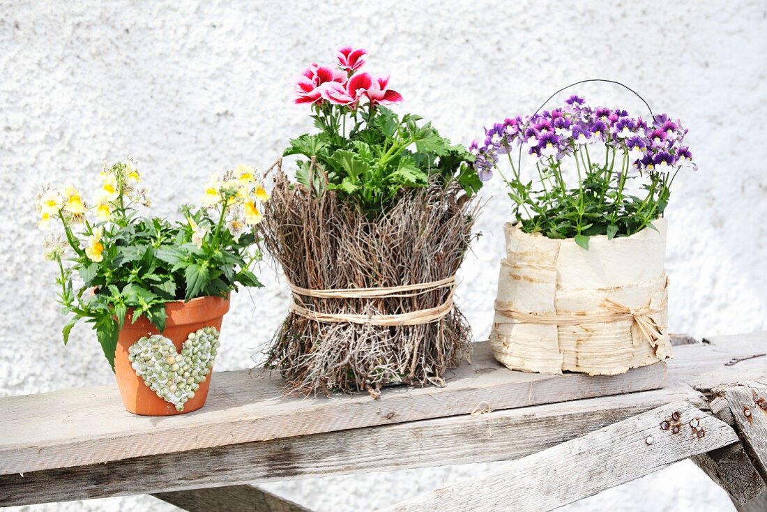 Arrangement of flowering plants in small planters decorated in various ways on wooden board