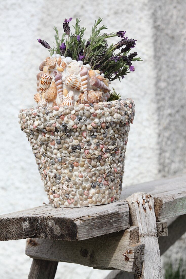 Flowering butterfly lavender in pot decorated with seashells