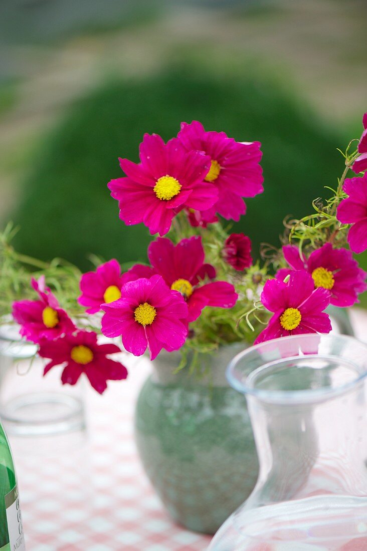 Vase of cosmos on table outdoors