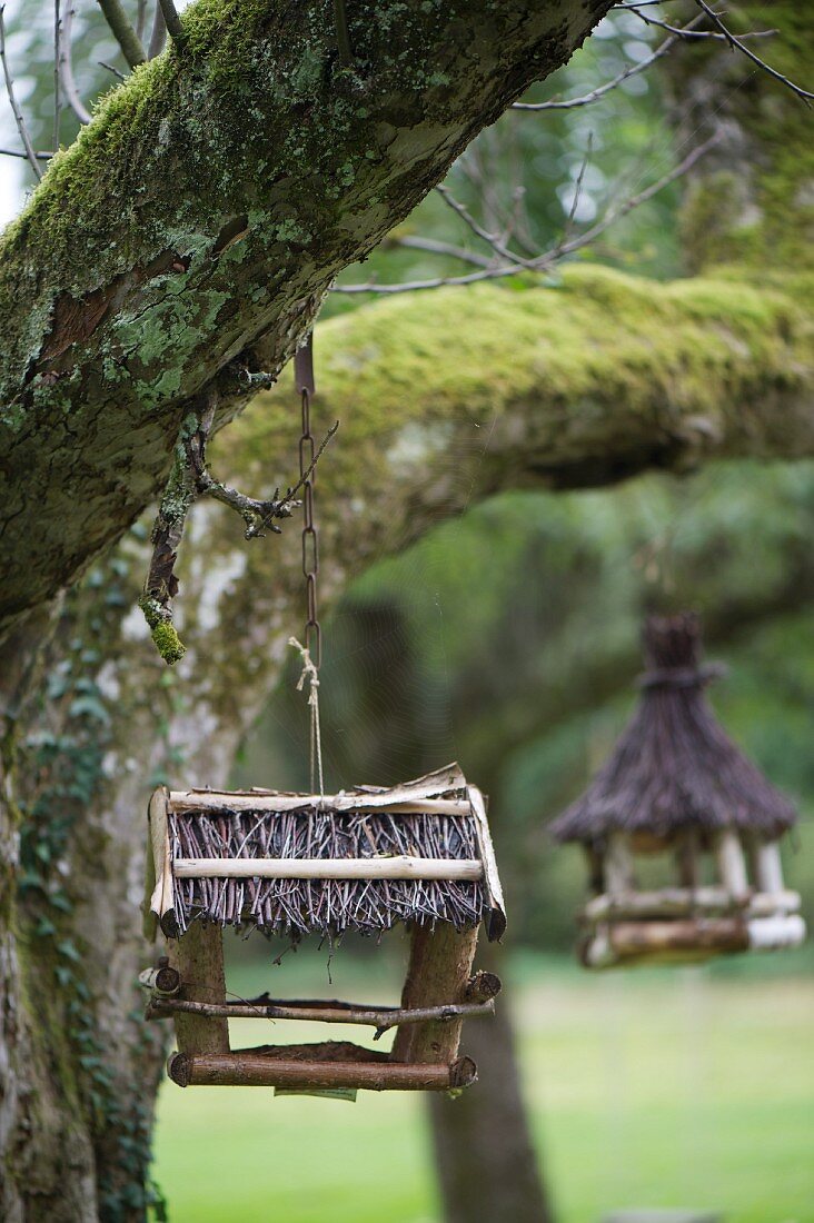 Rustic bird table hanging from tree