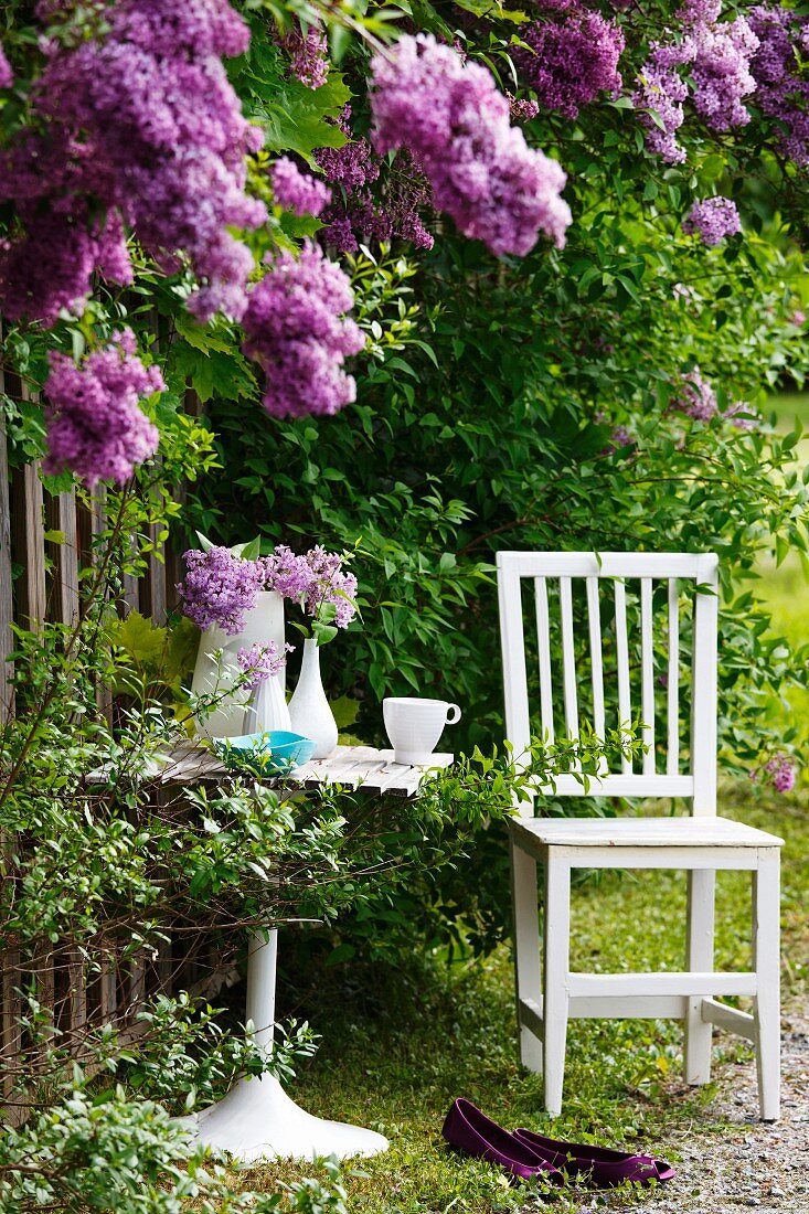 Weisser Gartenstuhl und Tisch am Fliederbusch