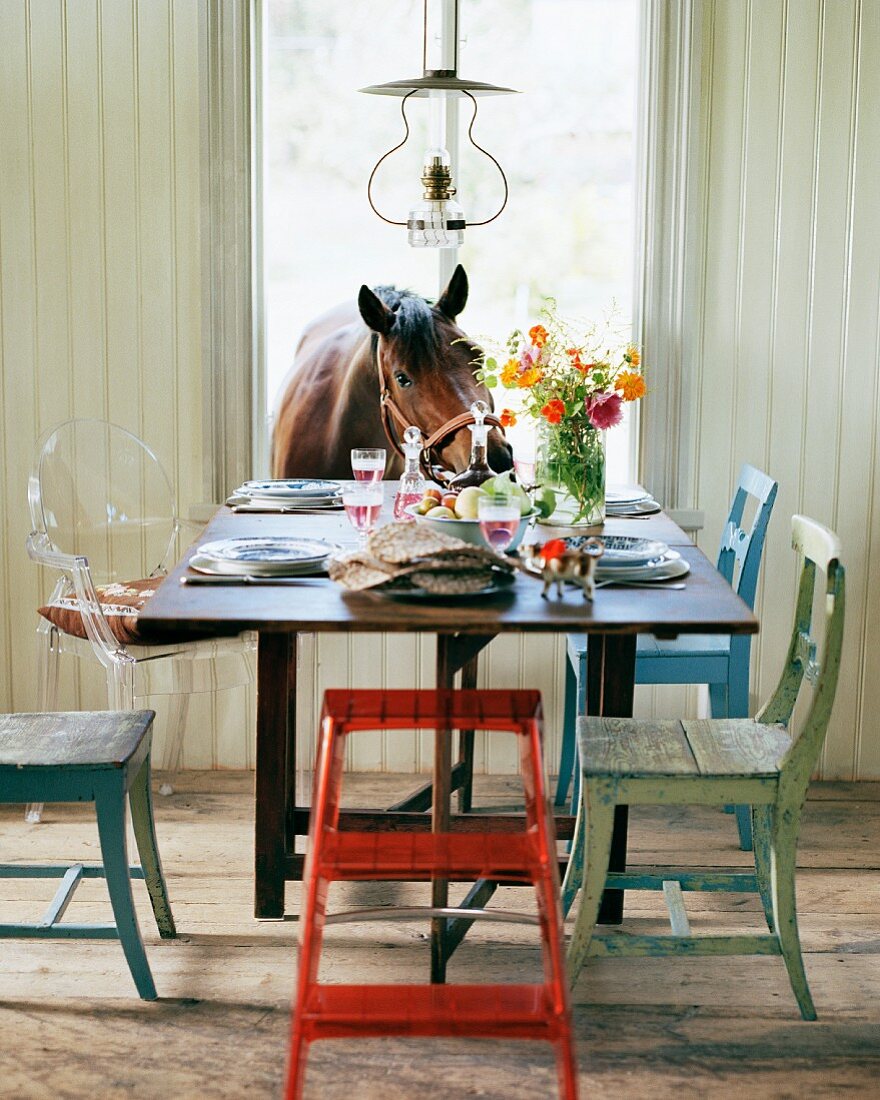 Wooden chairs painted in different colours at set table and curious horse looking in through open window